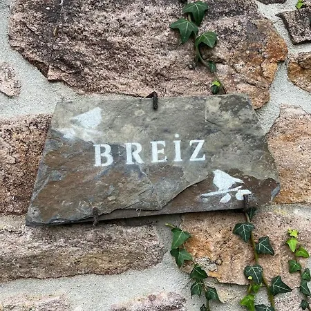 Ty Breiz